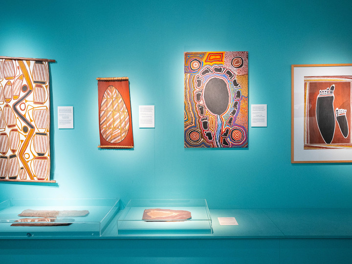 Tentoonstellingen | Wereldmuseum Leiden